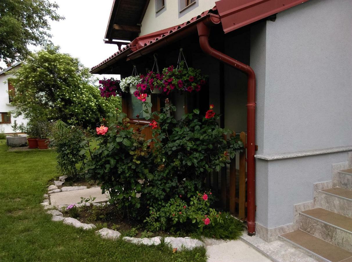 House Sara Korenica Exterior foto